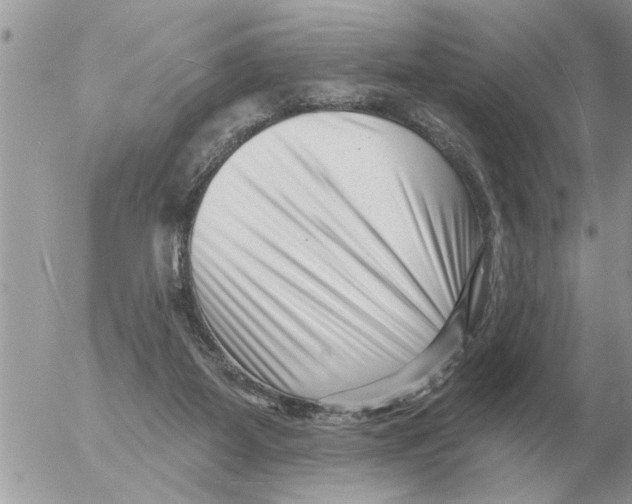 X0000054440115200508270022