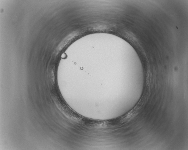 X0000054440116200508270022