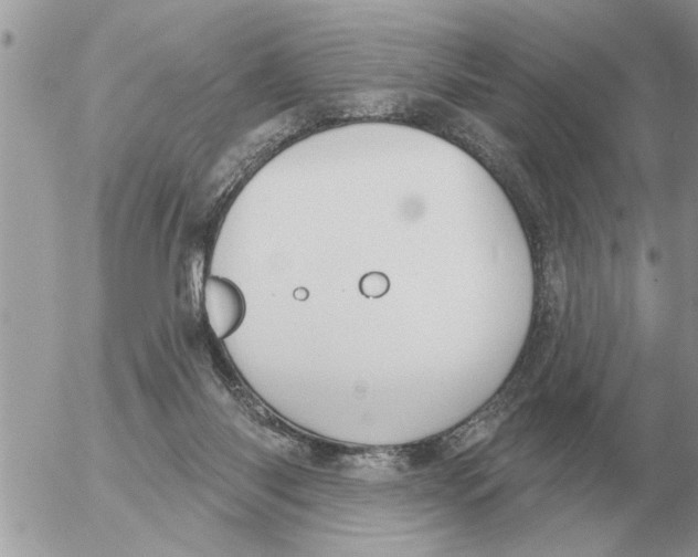 X0000054440118200508270022