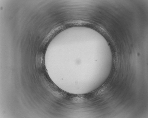 X0000054440119200508270022