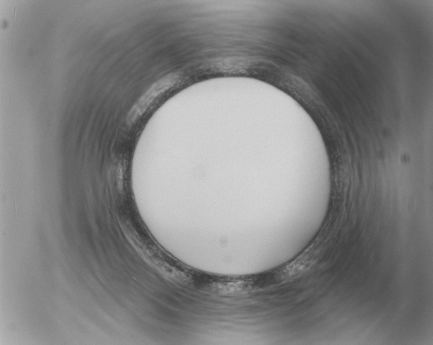 X0000054440120200508270022