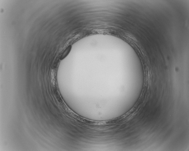 X0000054440121200508270022