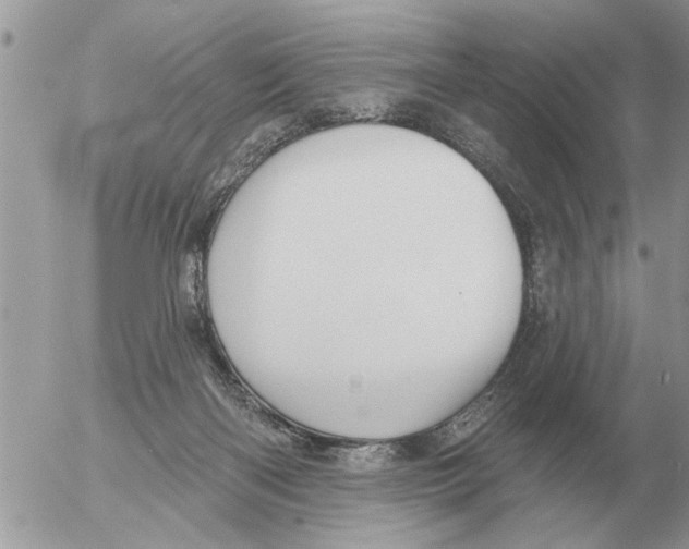 X0000054440122200508270022