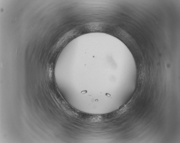 X0000054440124200508270022