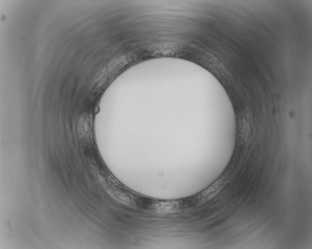 X0000054440126200508270022