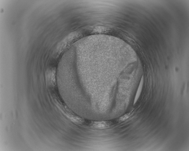 X0000054440127200508270022