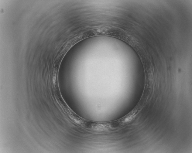 X0000054440129200508270022