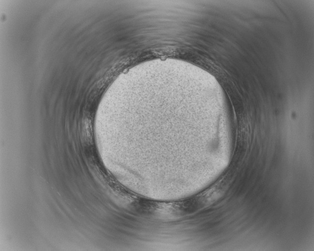 X0000054440130200508270022