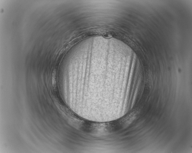 X0000054440131200508270022