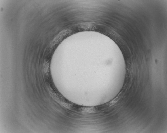 X0000054440132200508270022