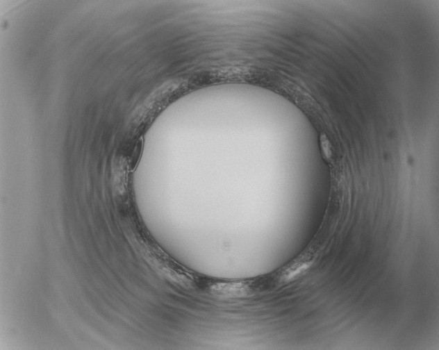 X0000054440133200508270022