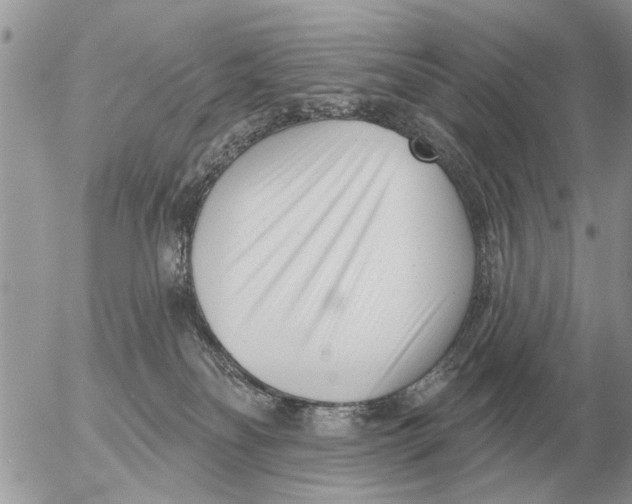 X0000054440134200508270022