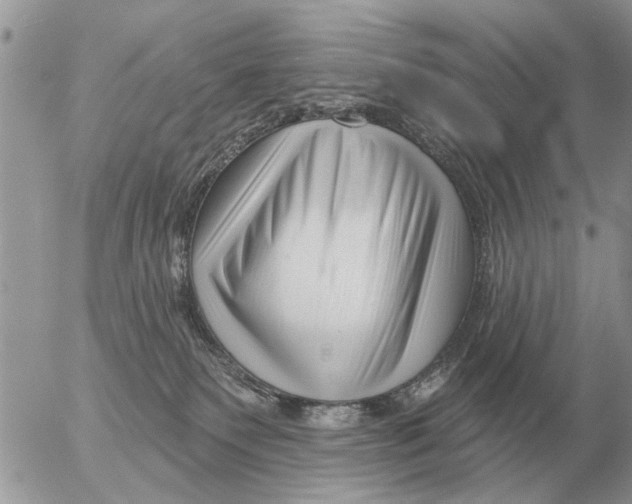 X0000054440135200508270022