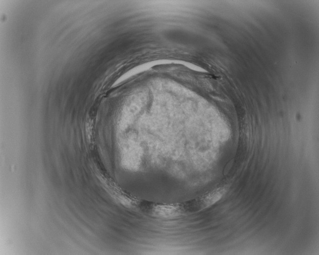 X0000054440139200508270022