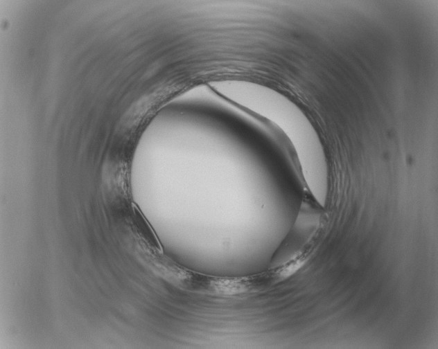 X0000054440141200508270022