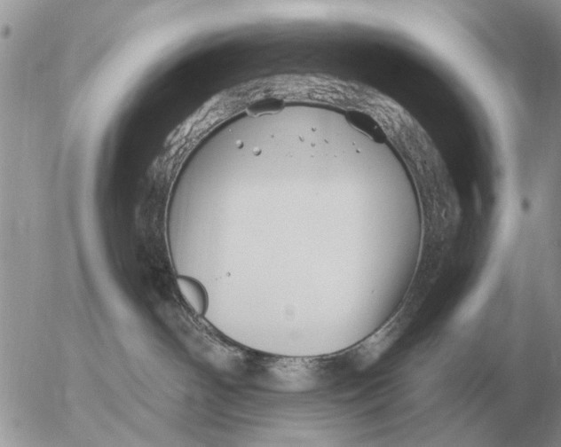 X0000054440142200508270022