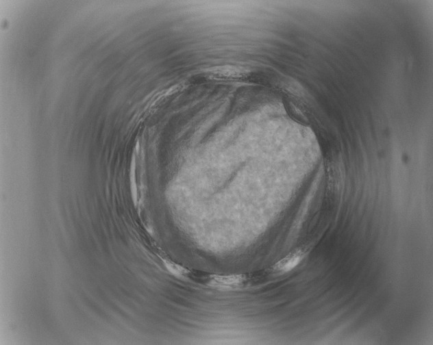 X0000054440143200508270022