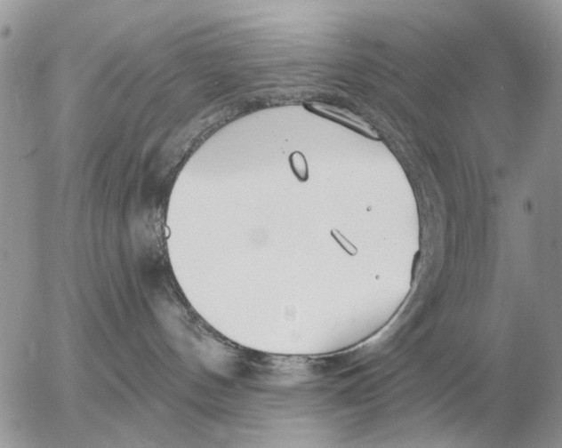 X0000054440144200508270022