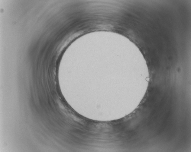 X0000054440146200508270021