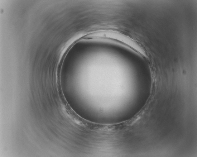 X0000054440148200508270021