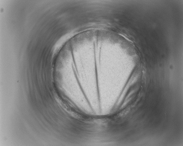 X0000054440149200508270021