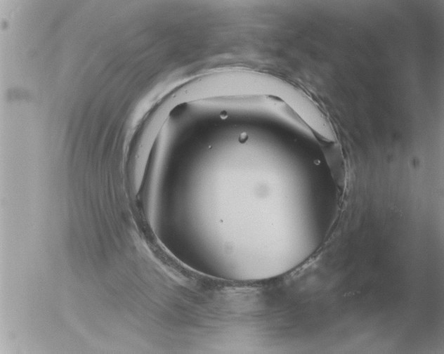 X0000054440150200508270021