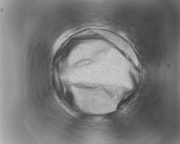 X0000054440151200508270021