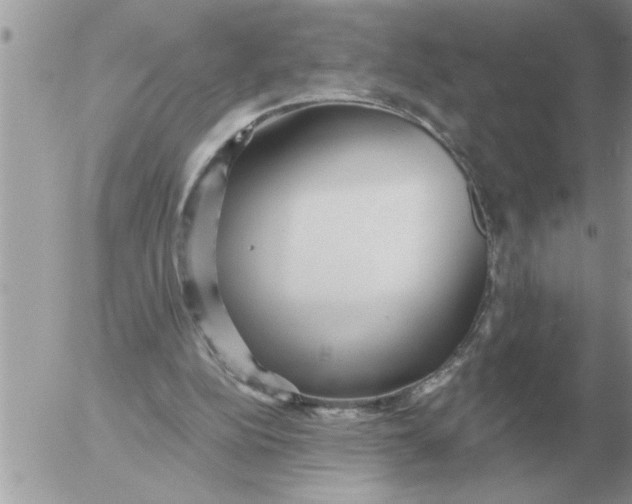 X0000054440152200508270021