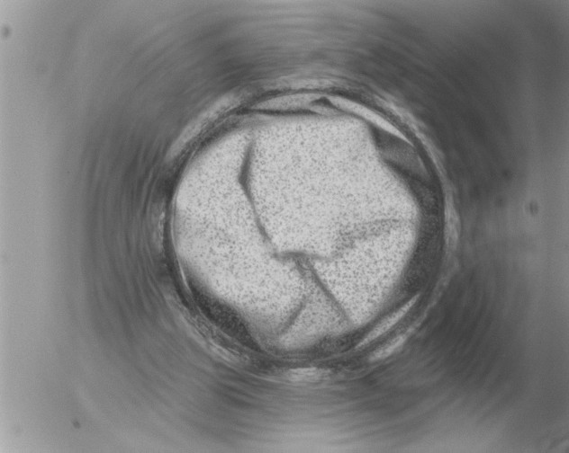 X0000054440153200508270021