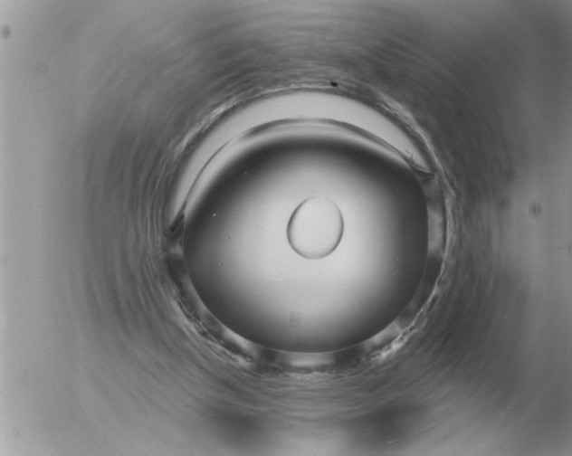 X0000054440154200508270021