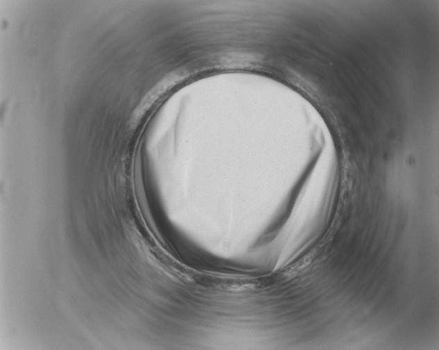 X0000054440155200508270021