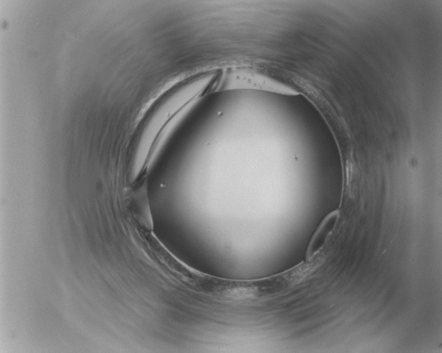 X0000054440156200508270021