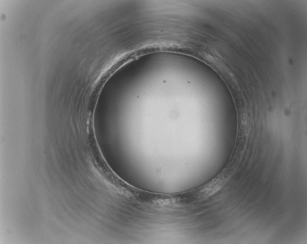 X0000054440160200508270021