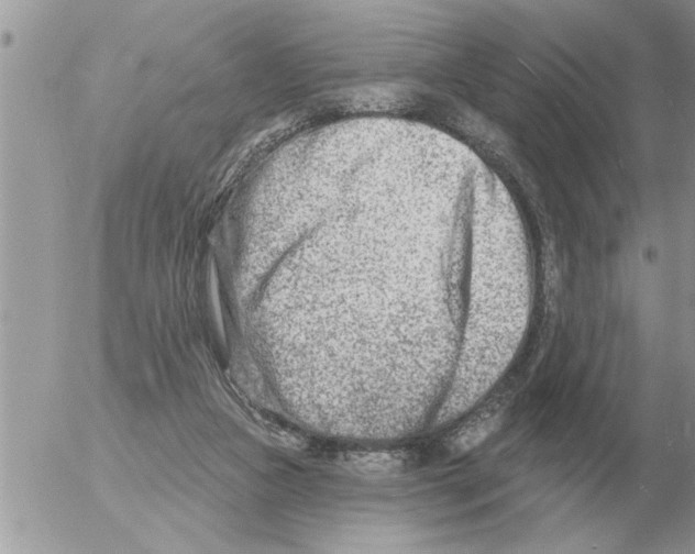 X0000054440161200508270021