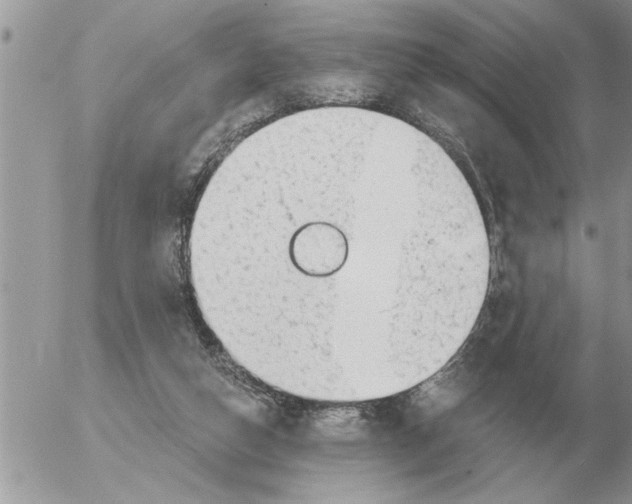 X0000054440162200508270021