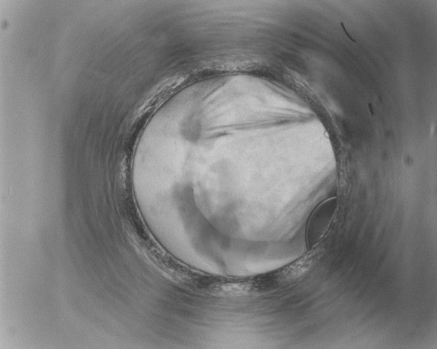 X0000054440163200508270021