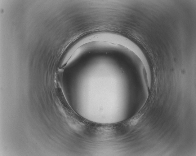 X0000054440164200508270021