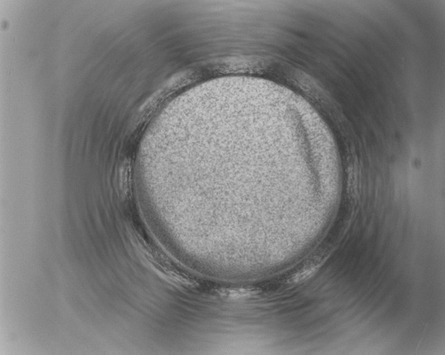 X0000054440165200508270022