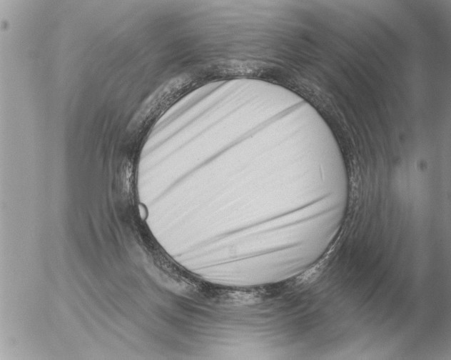 X0000054440166200508270022