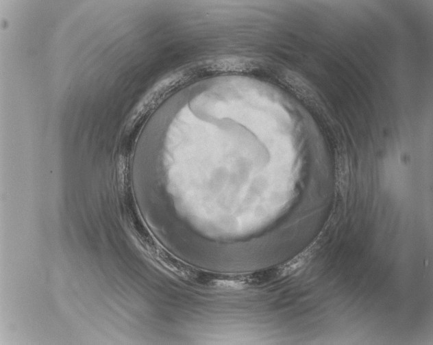 X0000054440167200508270022