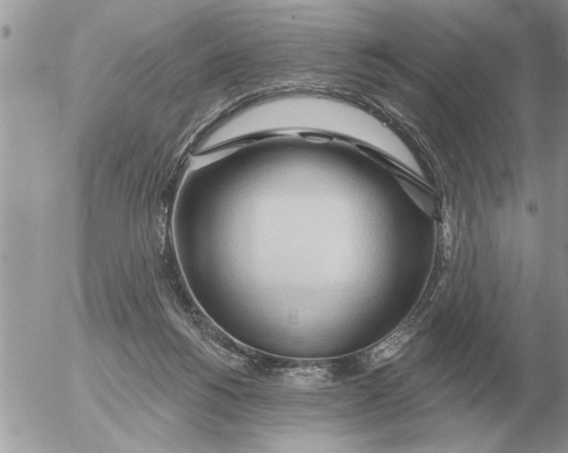 X0000054440168200508270022