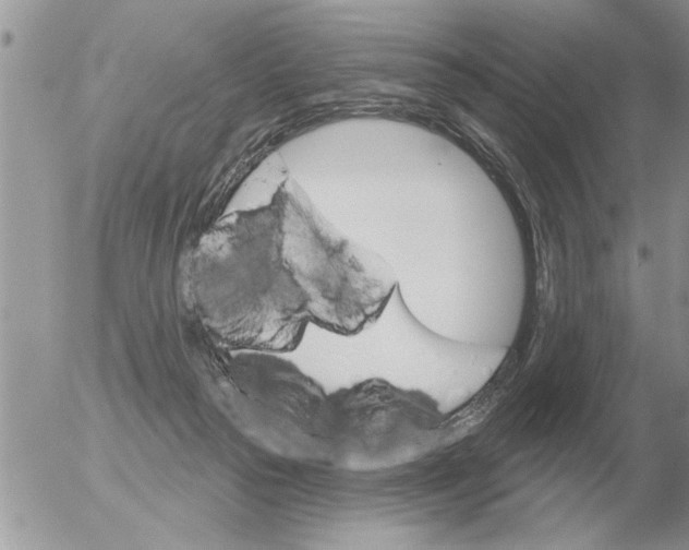 X0000054440169200508270022