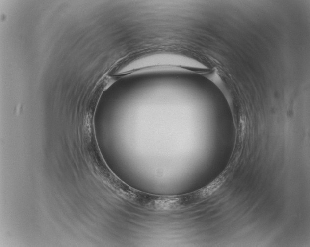 X0000054440172200508270022