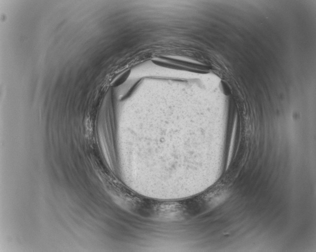 X0000054440173200508270022