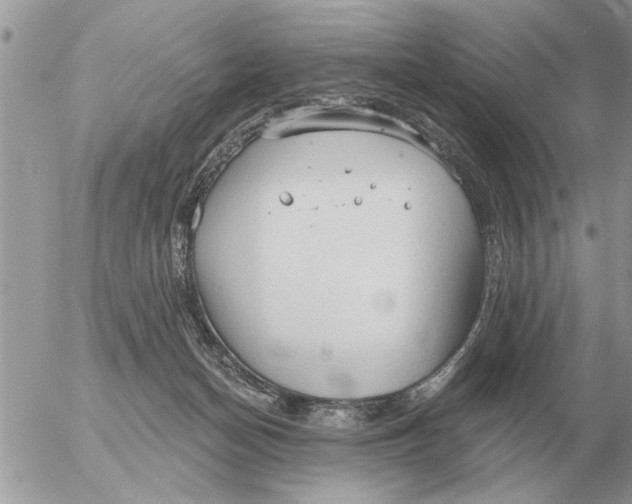 X0000054440174200508270022