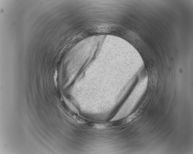 X0000054440175200508270022