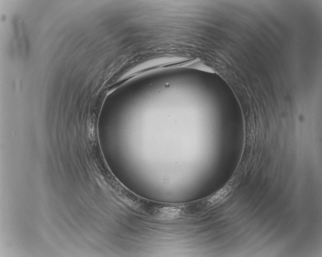 X0000054440176200508270022