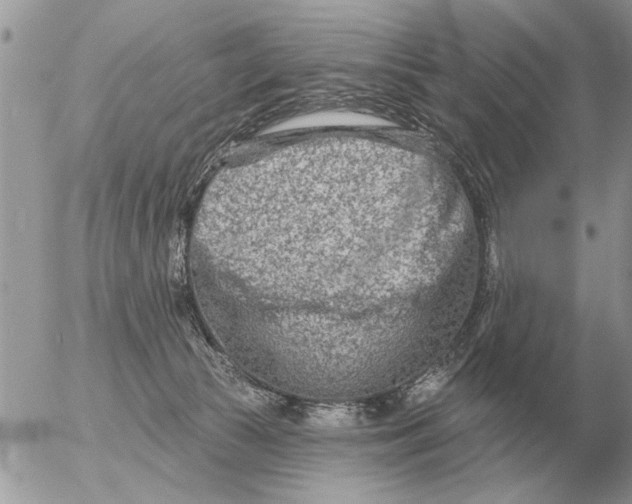 X0000054440177200508270022