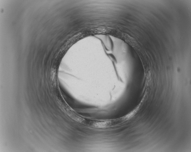 X0000054440178200508270022