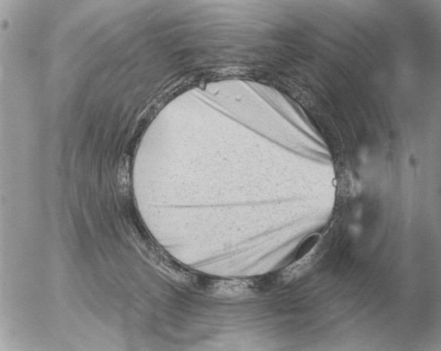 X0000054440179200508270022